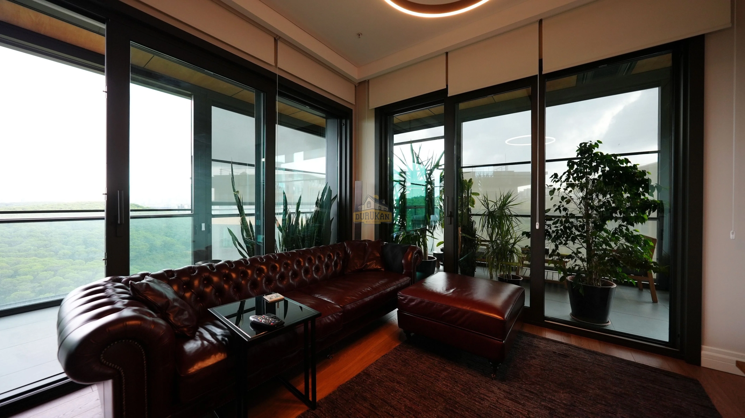 Çamlıvadi satılık